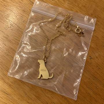 Collar dorado con silueta de perro y el nombre Rocky dentro de su bolsita